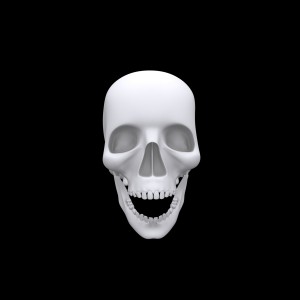 Realistic Halloween Skull