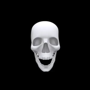 Realistic-Halloween-Skull-600x600