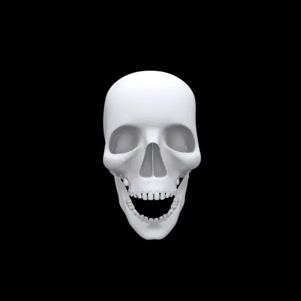 Realistic-Halloween-Skull-600x600