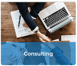 Consulting with Ash Roy